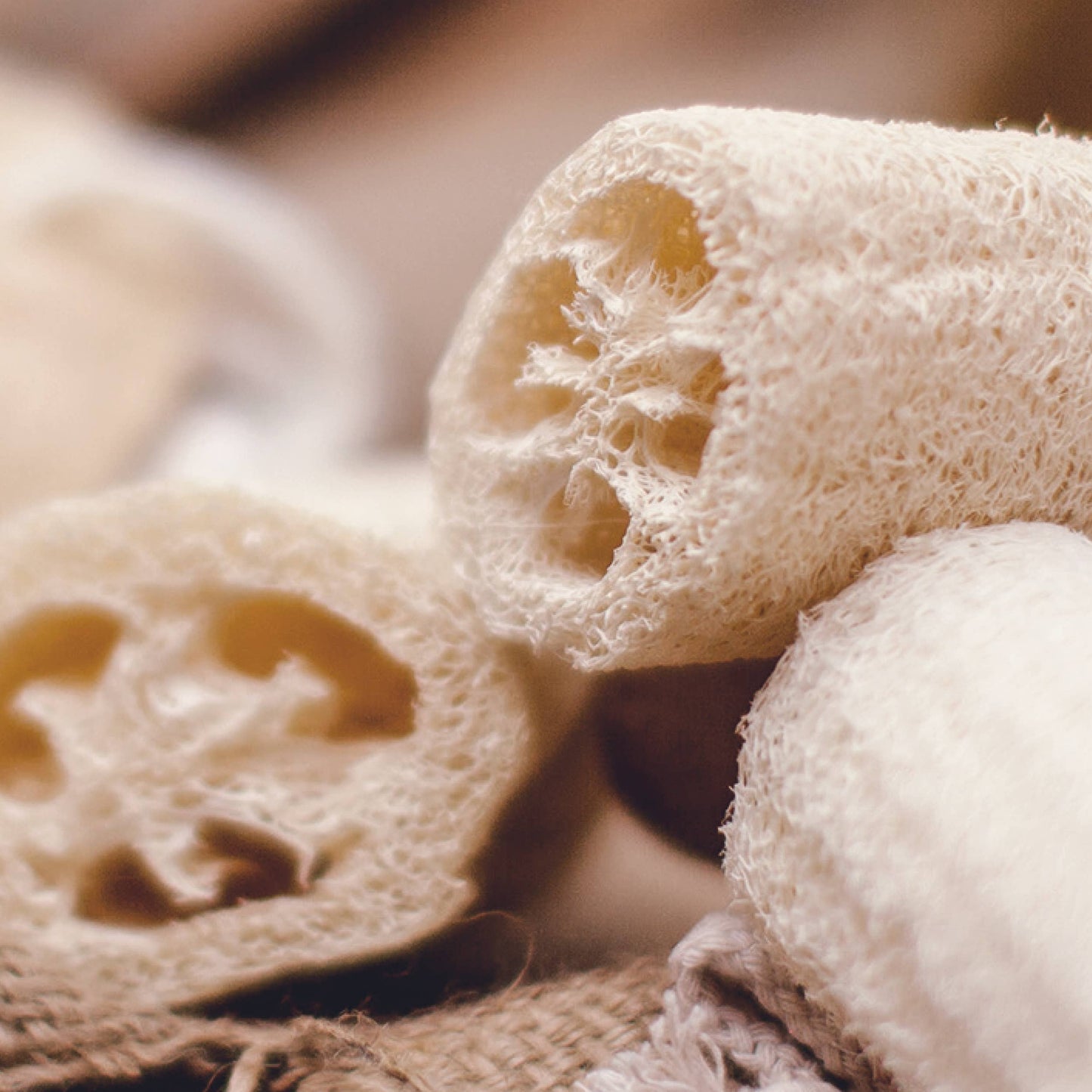 Natural Loofah Sponge | Versatile Natural Essential