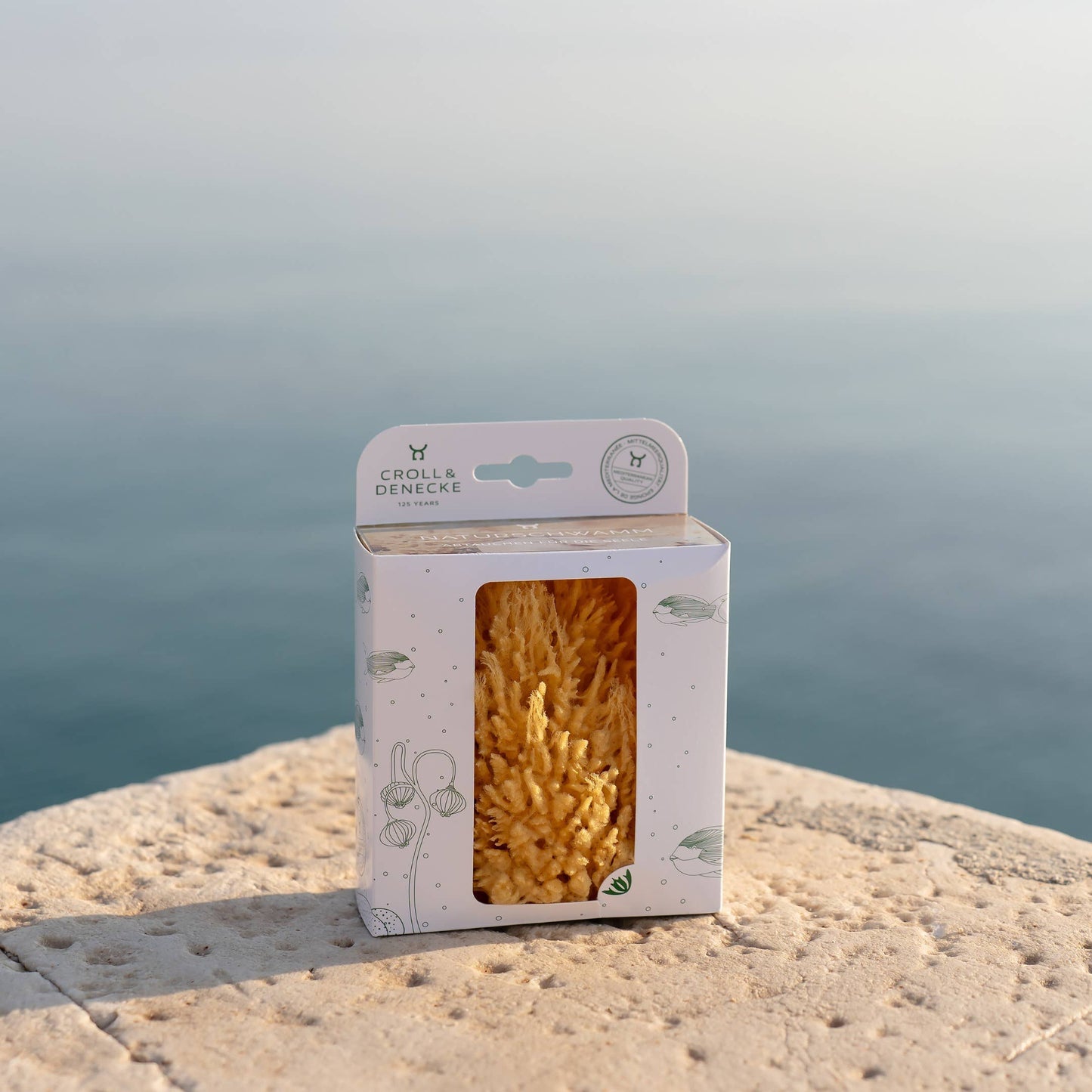 Natural Sea Sponge | Plastic-Free Gift Box
