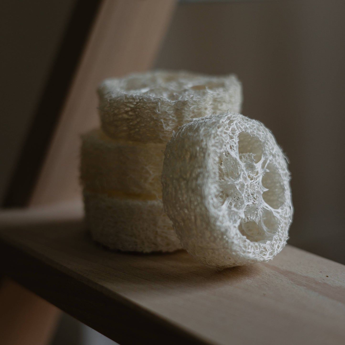 Loofah Soap Slice | Natural Bathroom Helper