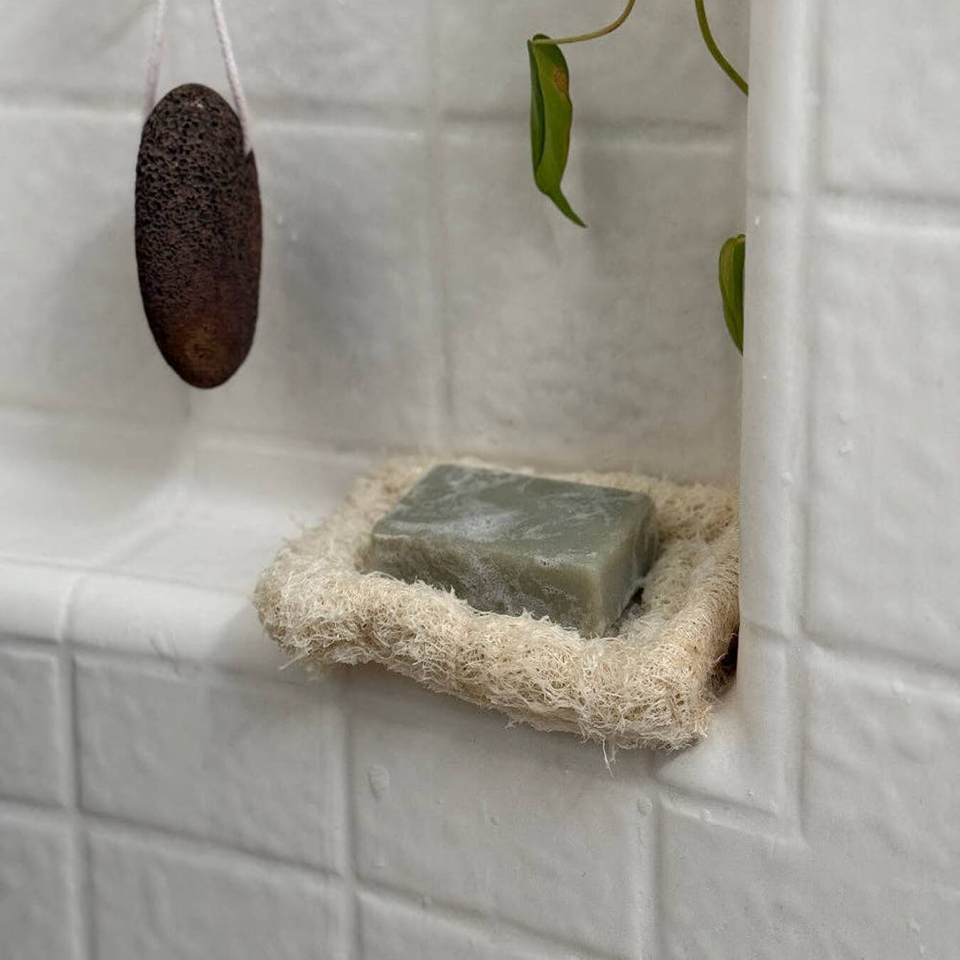 Natural Loofah Soap Dish | Biodegradable & Zero Waste