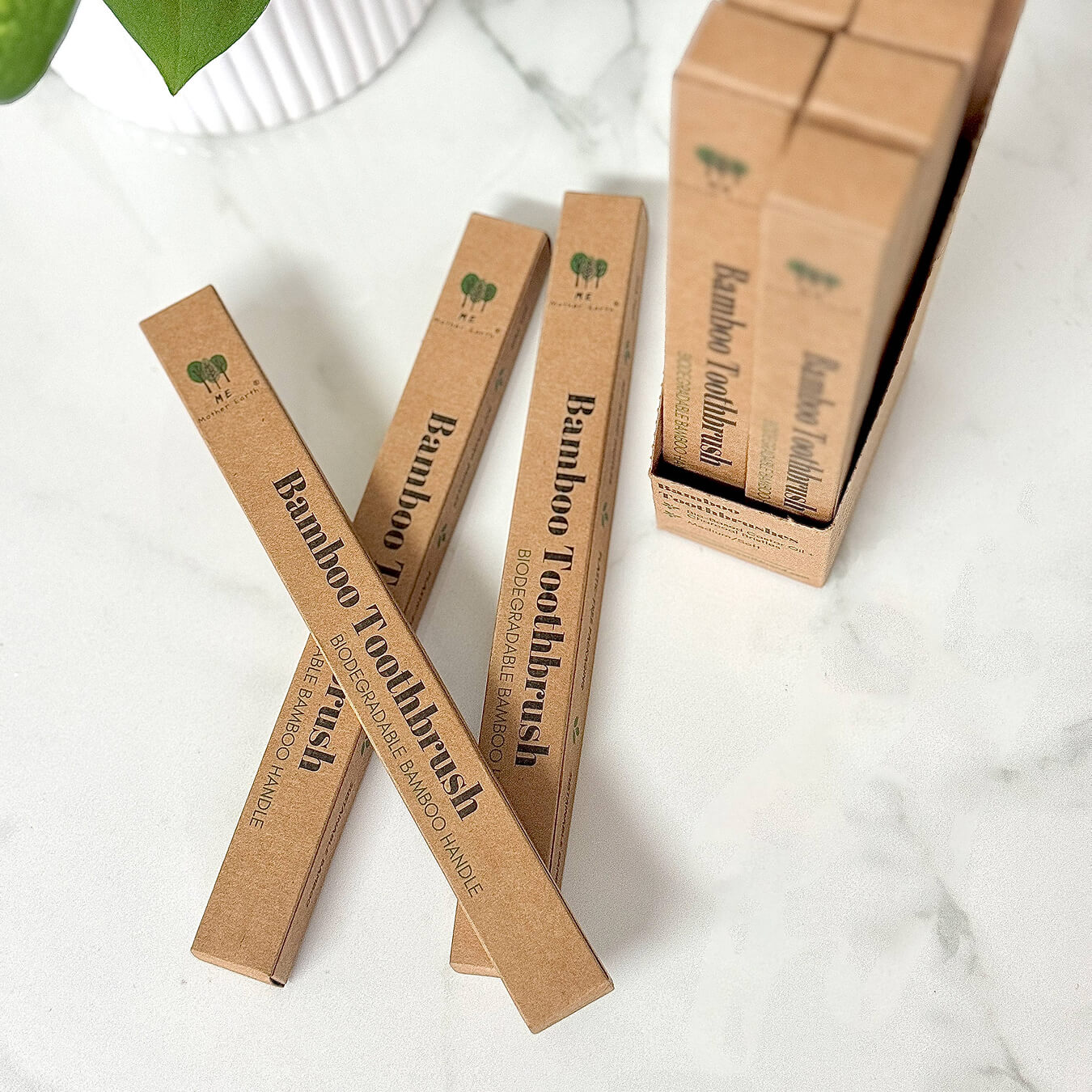 Bamboo Charcoal Toothbrush | Compostable & Zero Waste