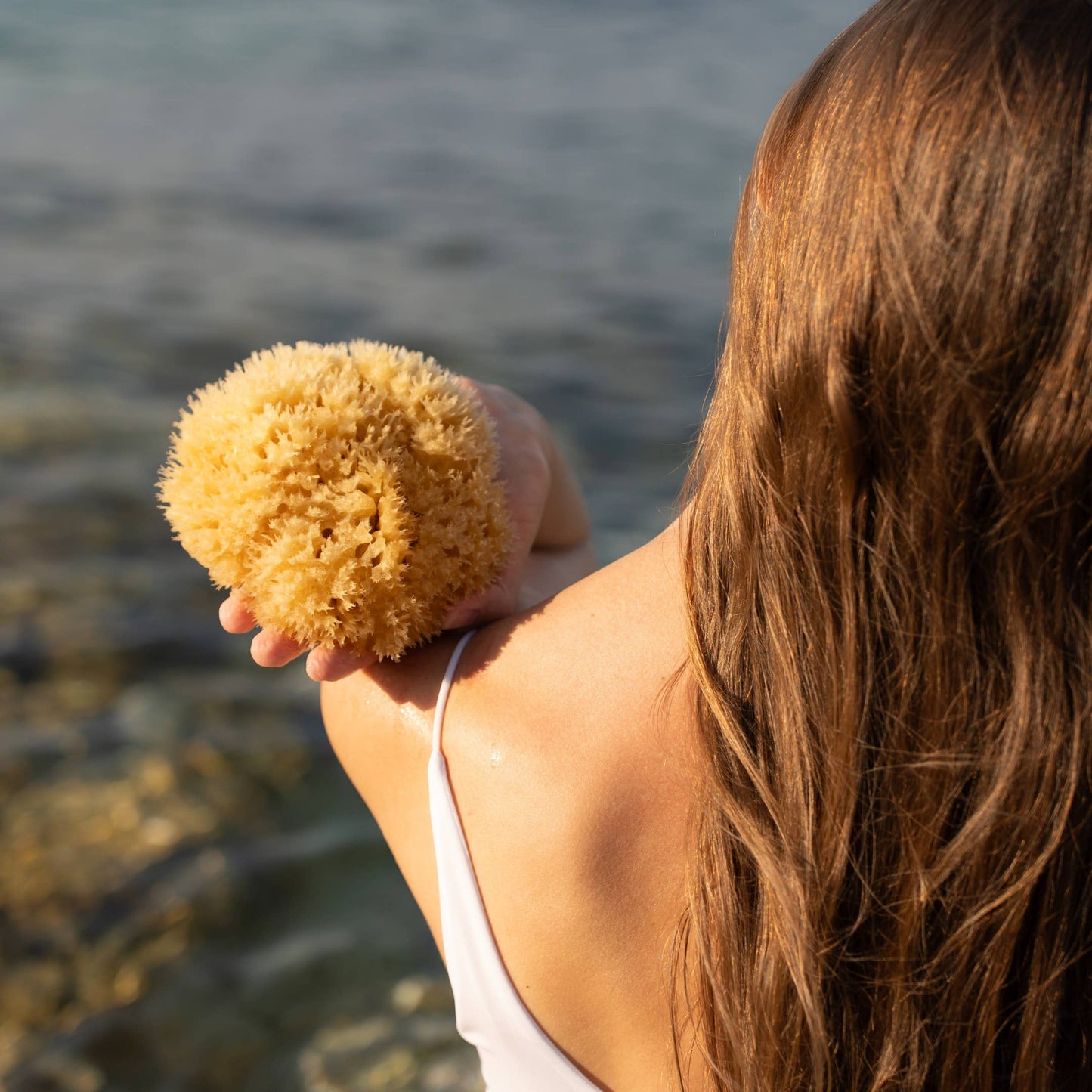 Natural Sea Sponge | Plastic-Free Gift Box