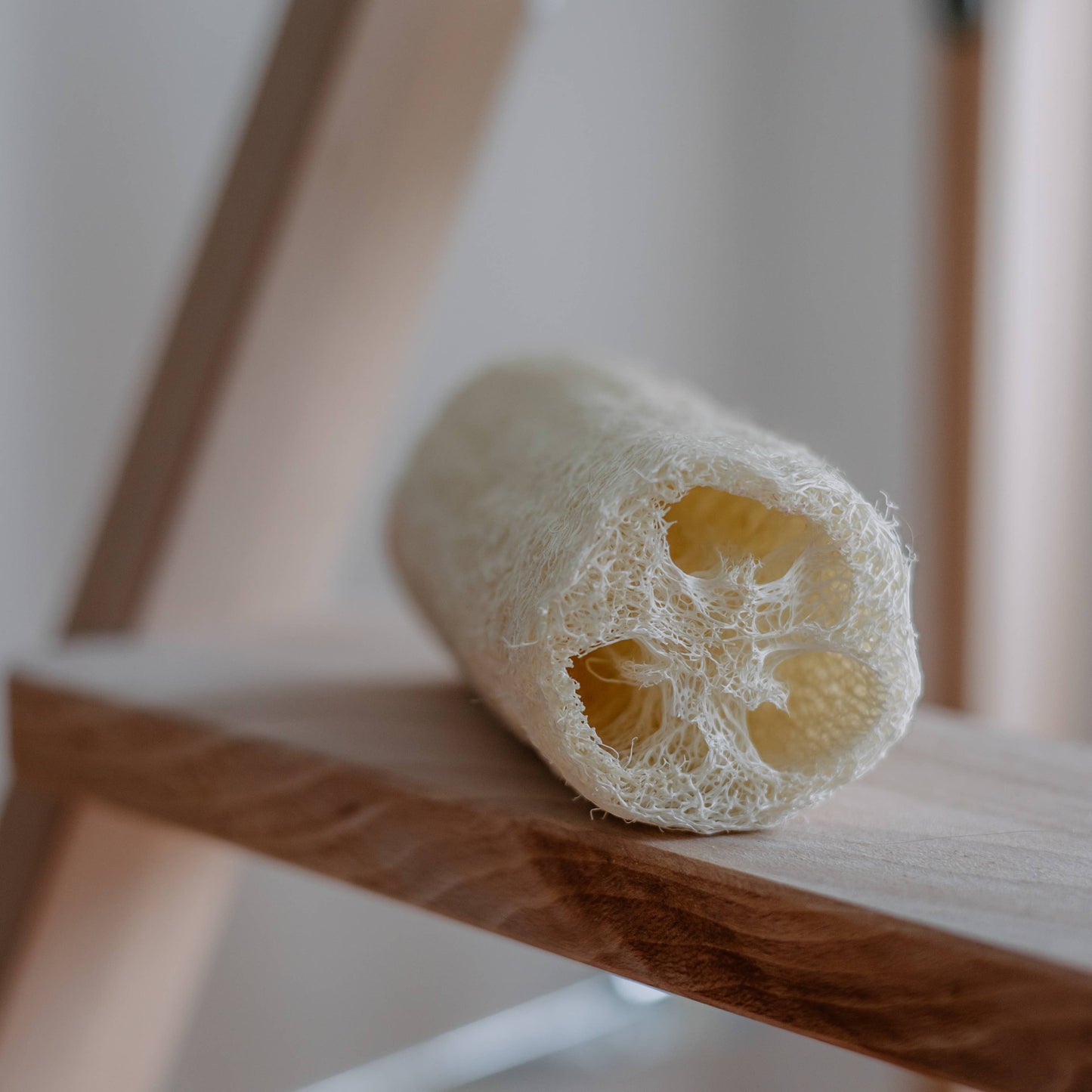 Natural Loofah Sponge | Versatile Natural Essential