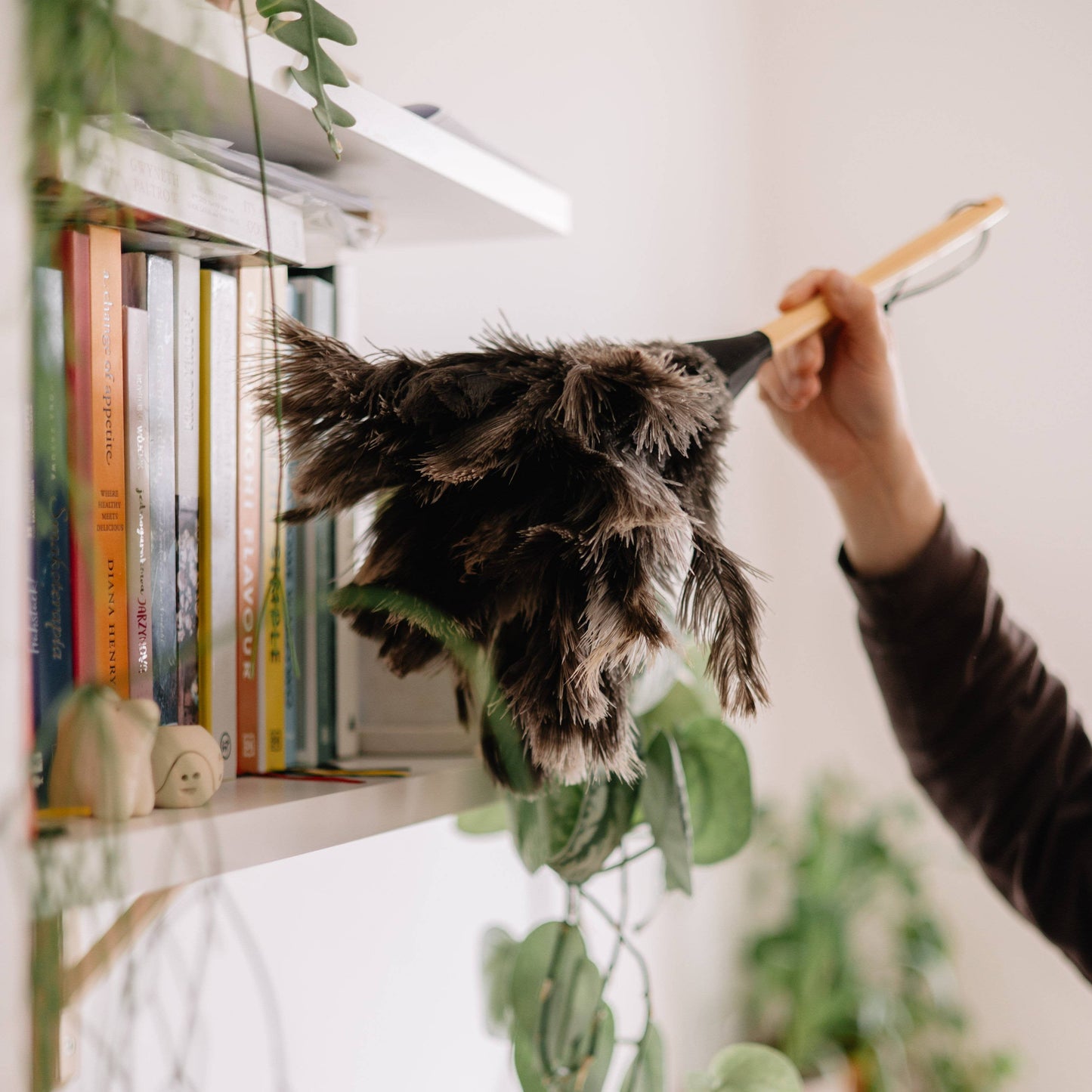 Ostrich Feather Duster | Natural Home Care