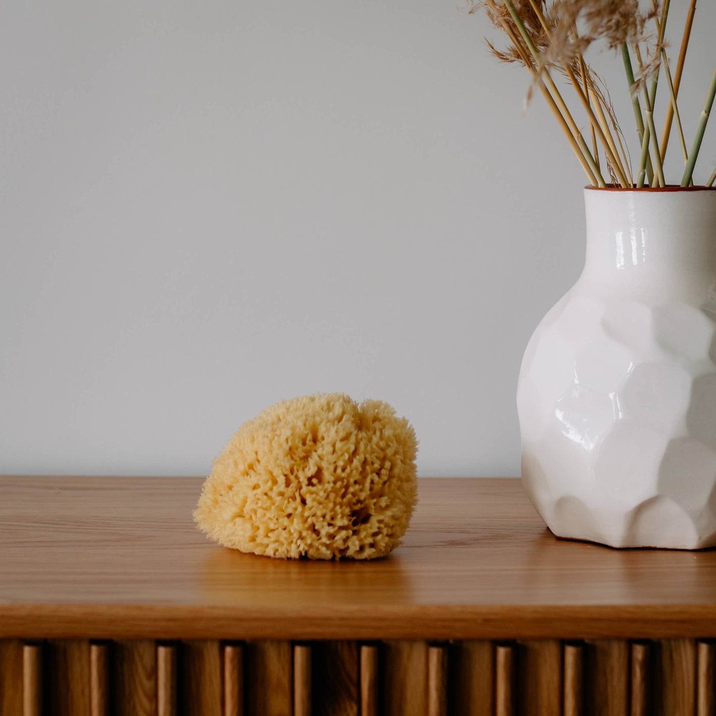 Natural Sea Sponge | Plastic-Free Gift Box