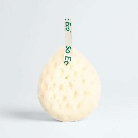 Bath & Shower Sponge