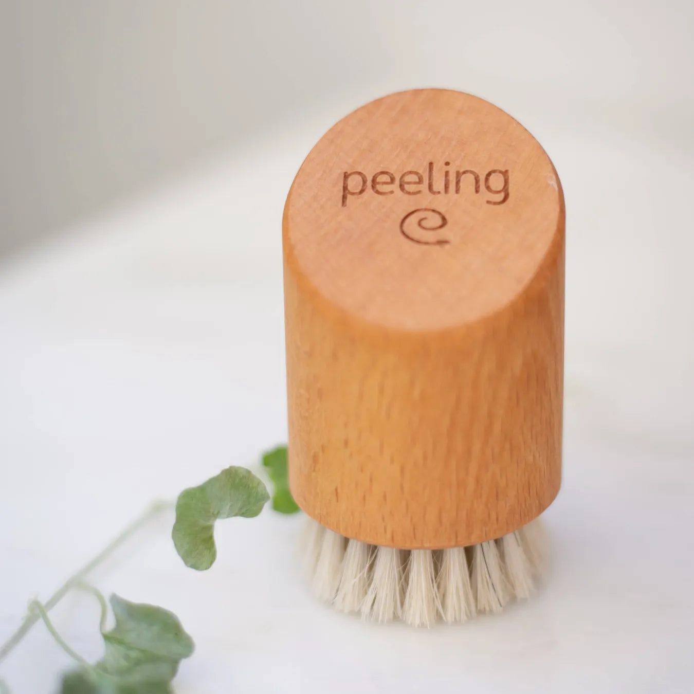 Beech Wood Face Brush