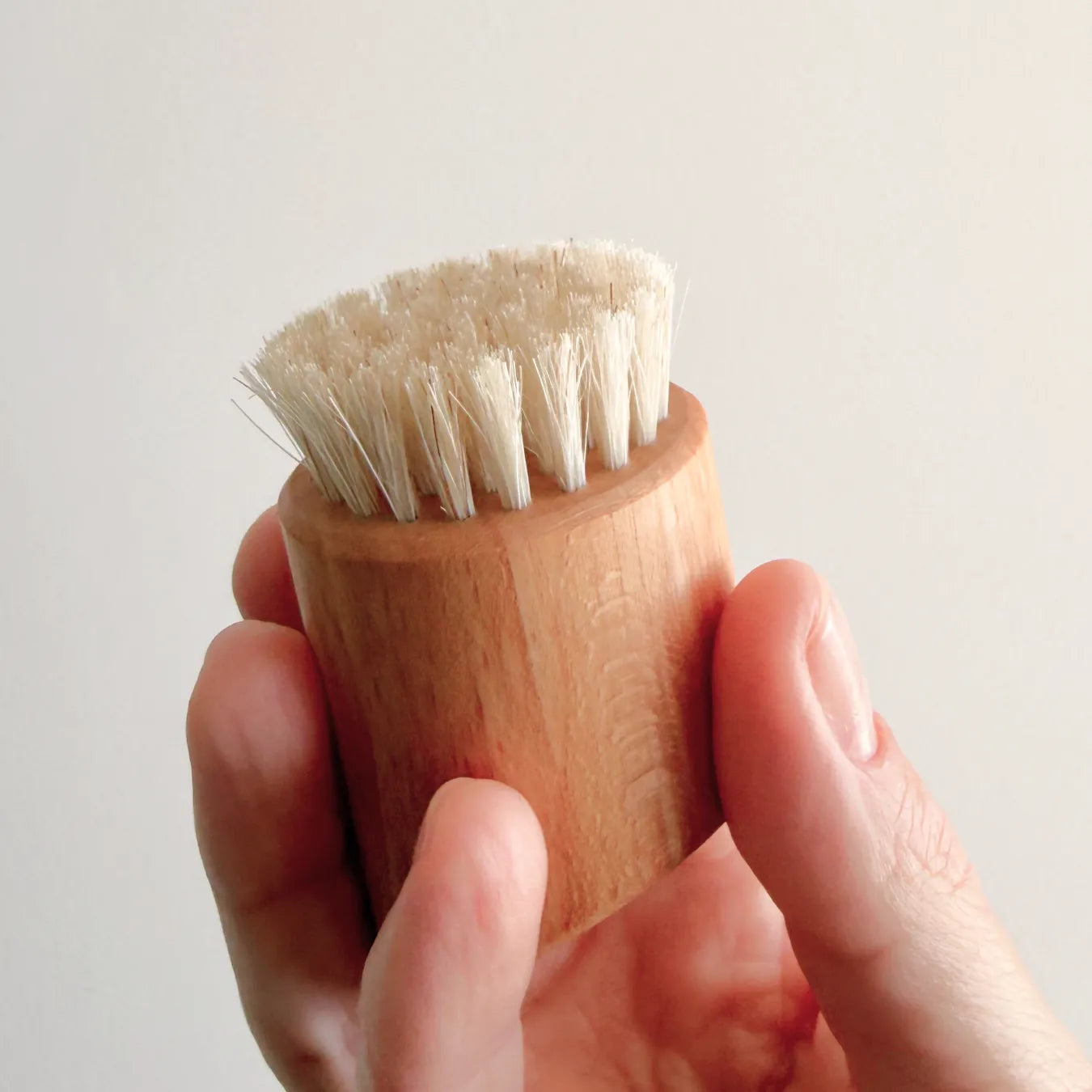 Beech Wood Face Brush