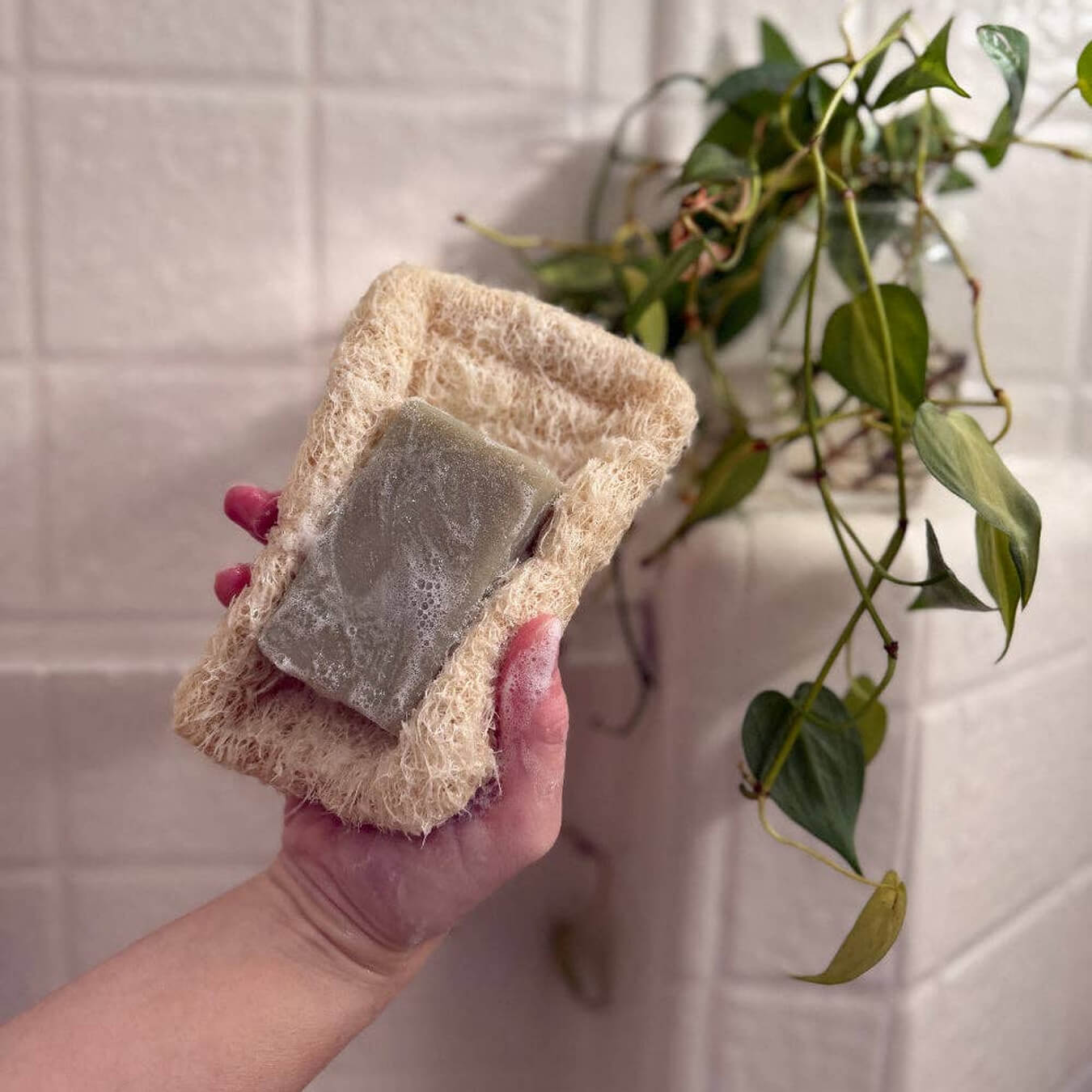 Natural Loofah Soap Dish | Biodegradable & Zero Waste