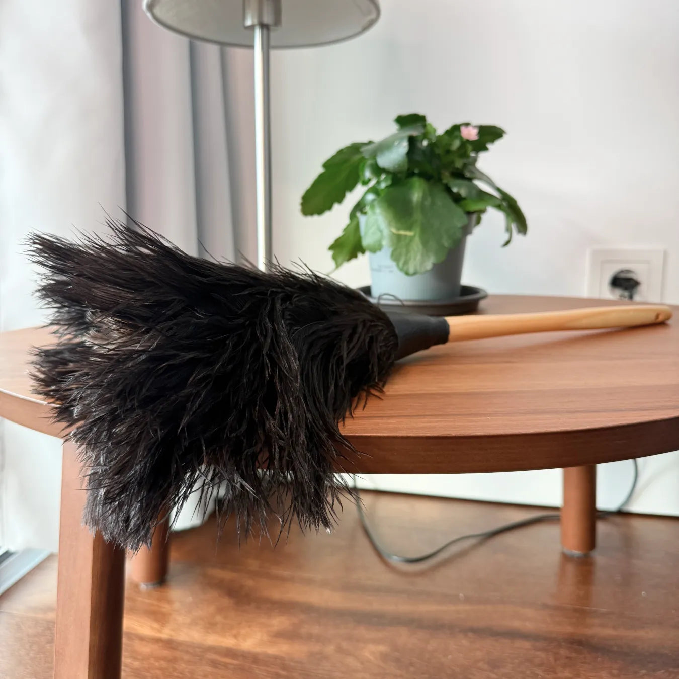Ostrich Feather Duster