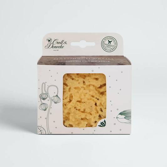 Natural Sea Sponge | Plastic-Free Gift Box