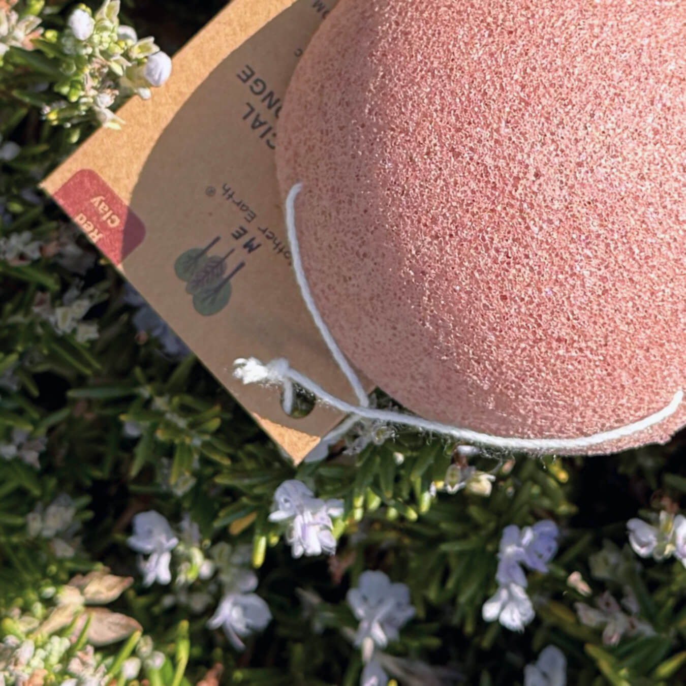Konjac Facial Sponge | Red Clay